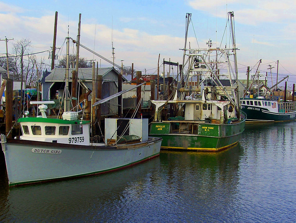 Commercial Fishing